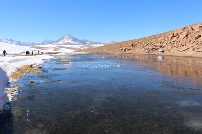 Bofedal, Deserto do Atacama