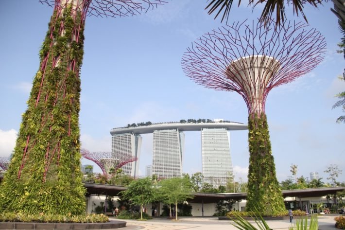 SuperTree Grove, Gardens by the Bay