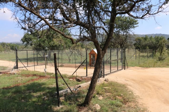 Área Selvagem Cercada, Lion & Safari Park, África do Sul