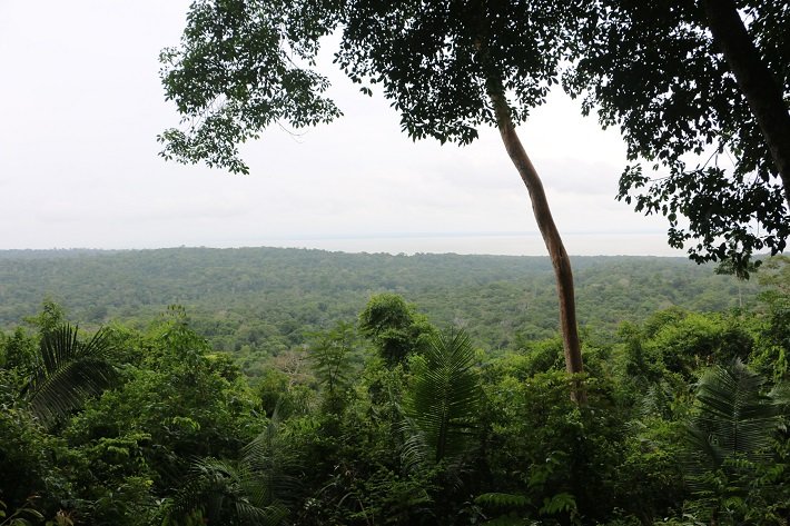 Mirante, Trilha do Piquiá, Floresta Nacional do Tapajós, Flona