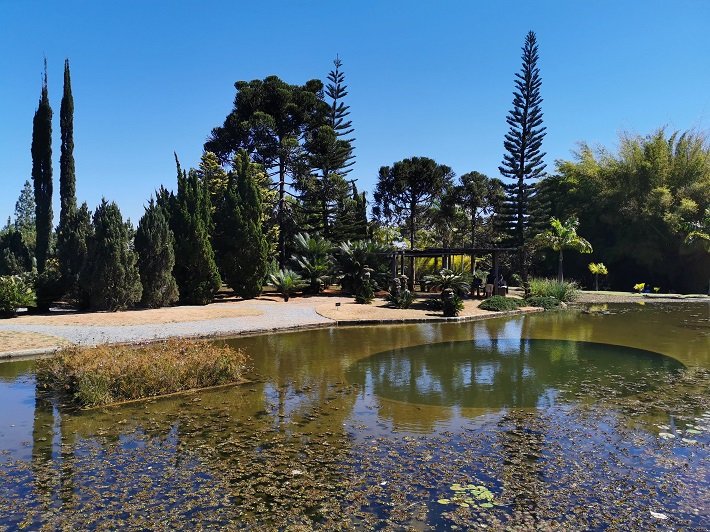 Lago no Jardim Botânico de Brasília