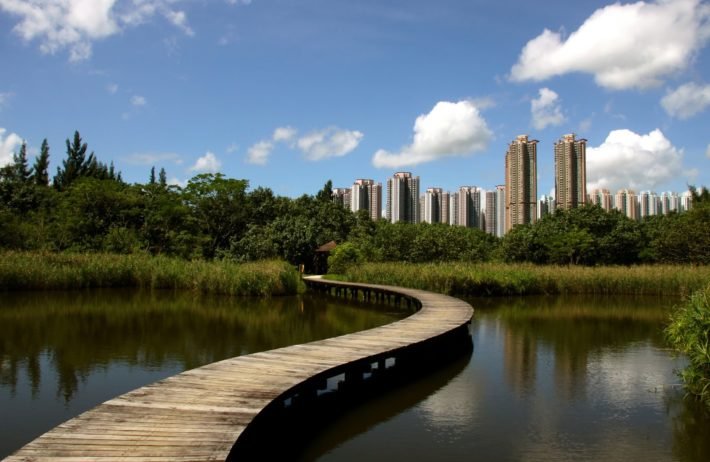 Wetland Park