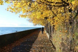 Boardwalk - Toronto Islands