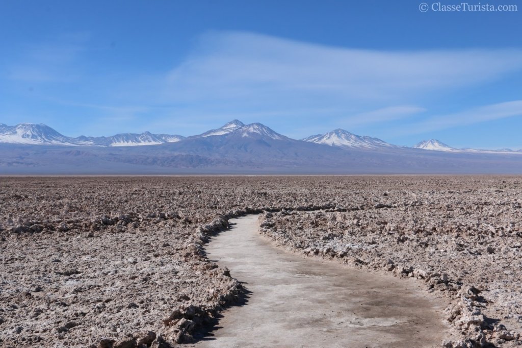 Salar do Atacama - Recanto dos Flamingos