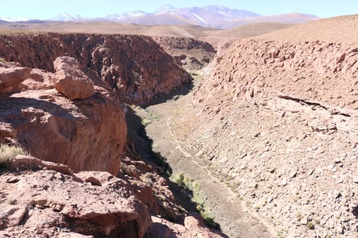 Vale dos Cactos Gigantes