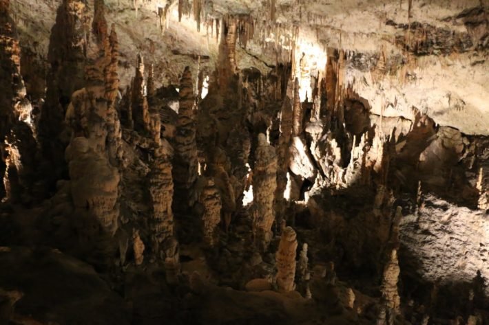 Cavernas de Postojna, Eslovênia
