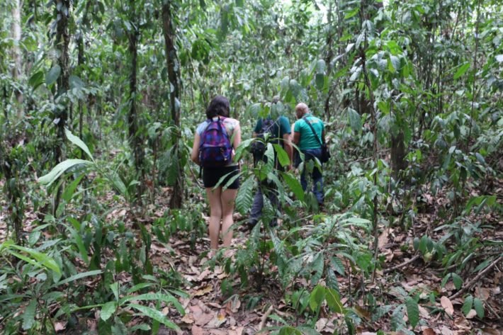 Trilha pela Floresta, Tour Furos e Igarapés, Belém