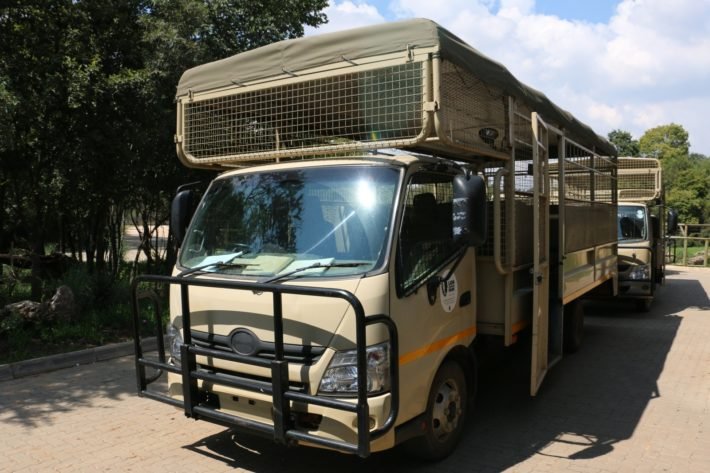 Safari Truck - Veículo usado para o Safari, Lion & Safari Park, África do Sul