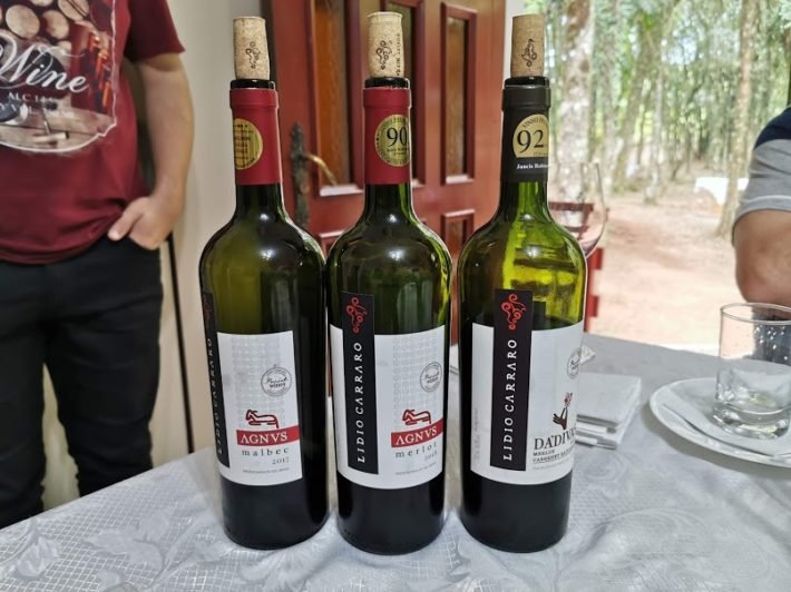 Vinhos degustados, Vinícola Lídio Carraro, Vale dos Vinhedos, Bento Gonçalves