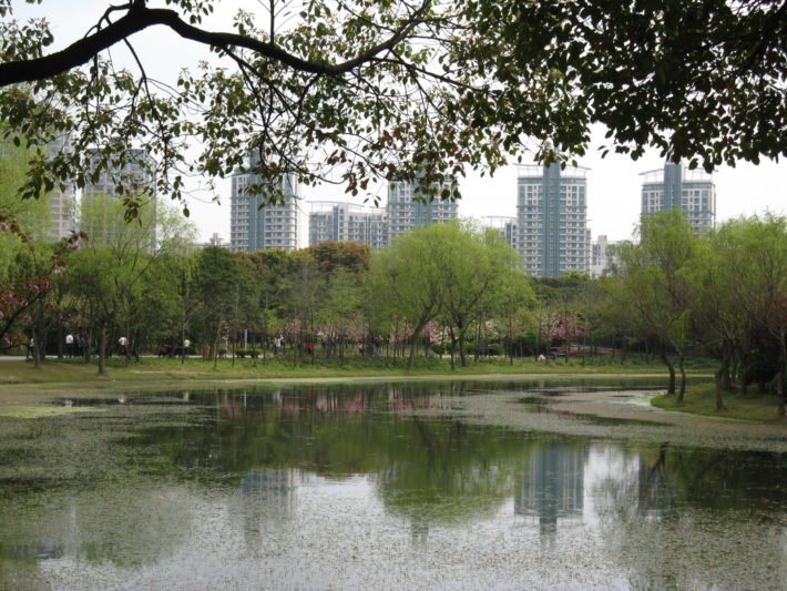 Century Park, Xangai, China