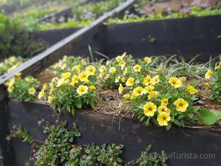 Flower Steps, Parque Amantikir, Campos do Jordão