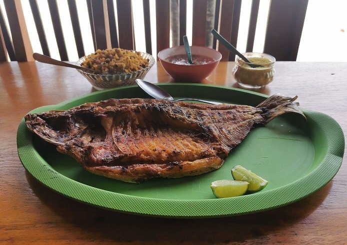 Tambaqui, Restaurante Panela de Barro, Ponta das Pedras