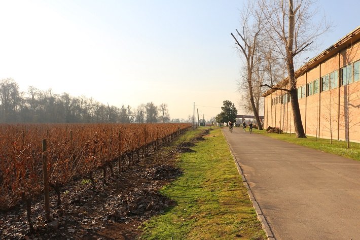 Cousiño Macul Winery in Santiago, Chile