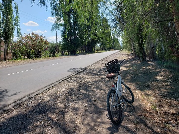 Tour de bicicleta em Mendoza, Argentina