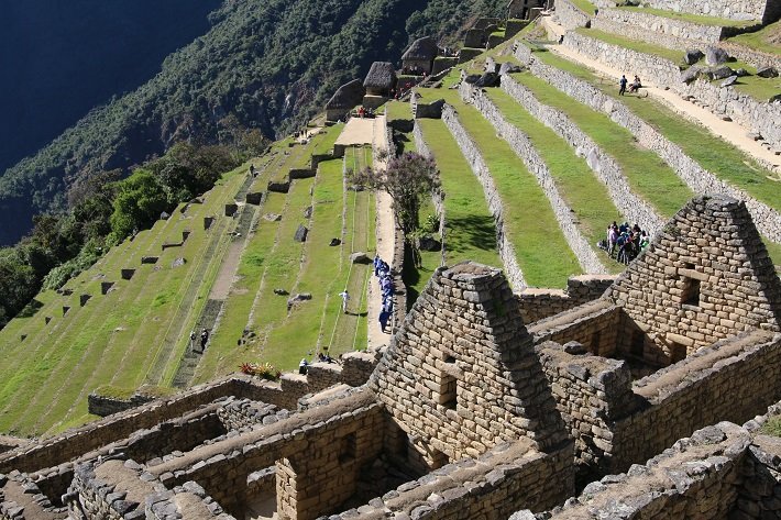 Setor agrícola Machu Picchu