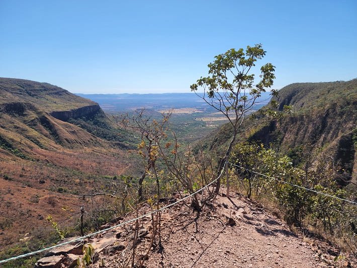 Pico 360°, Ecobocaina