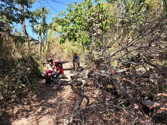 Ponto de Apoio da Guariroba, Ecobocaina