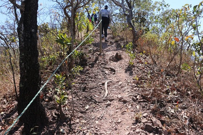 Trajeto para o Pico 360°, Ecobocaina