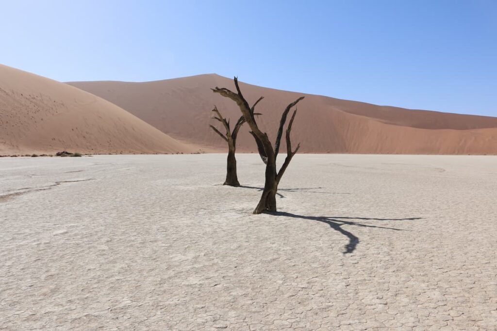 Deadvlei, Namibia